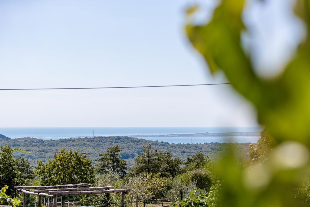 Vila Sistiana Kostanjevica na Krasu Dış mekan fotoğraf